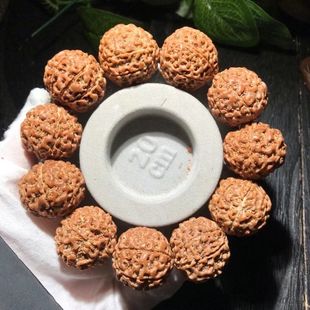 ӡ����������ԭ���ִ���6��7��8�˰���Ů������ؼt�S�tƤ����