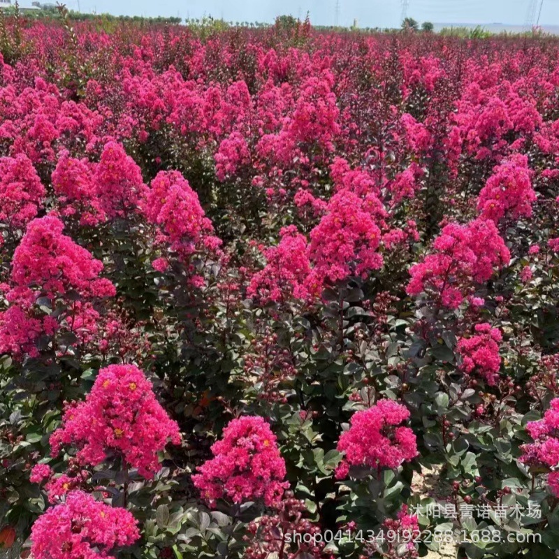 051