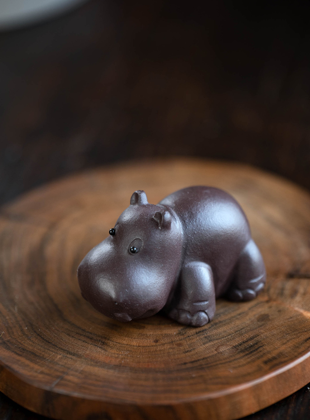 小河马20240528 (6).jpg