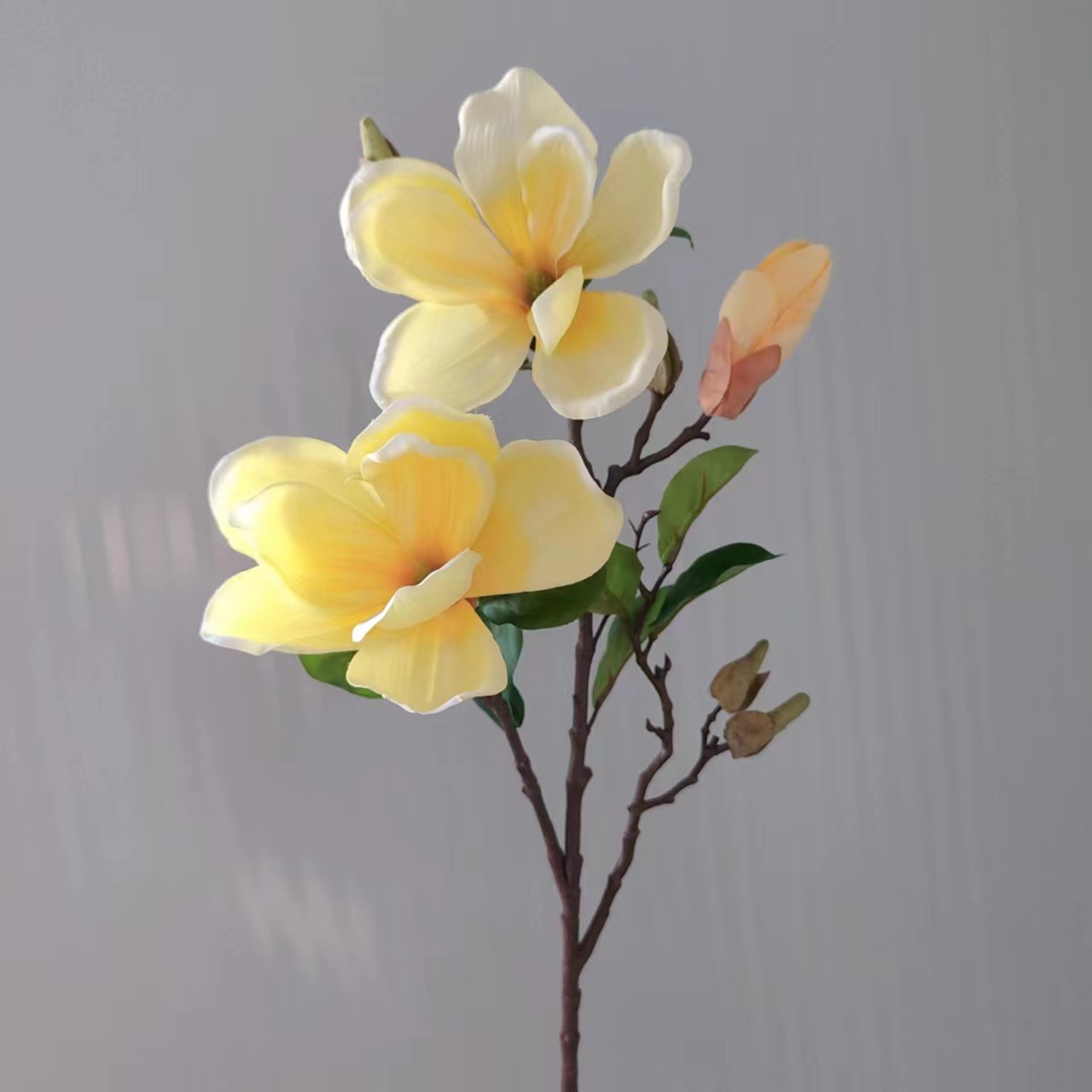 fcd987700d2b1e638d0dcc365518e6