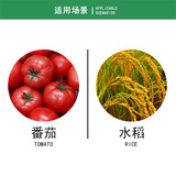 Zhongbao Dubao Ene Morpholin гидроксигидрохлорид морфолин гуанидиновый вирус томата болезнь вируса томата черная полоса карликовая пестицид фунгицид 15G