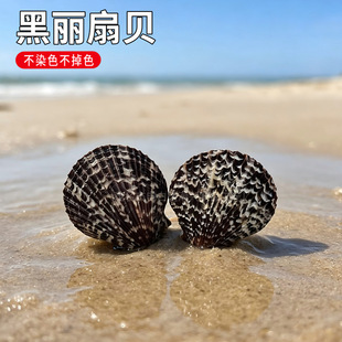 ��Ȼ������ؐ �������ȸ� ���y��ؐؐ�� �ֹ��b˱����l