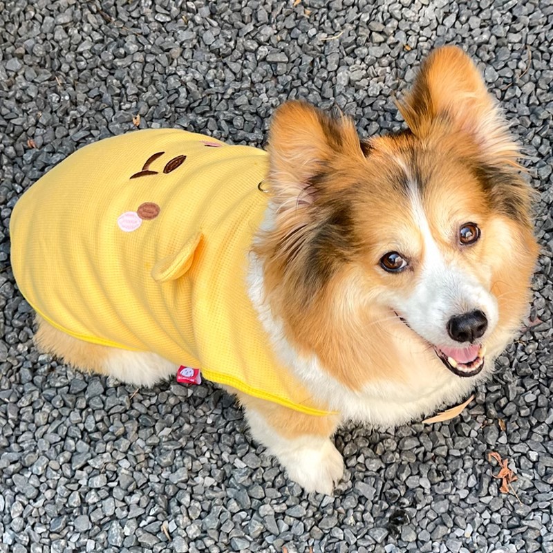 Puppy Clothes Summer Thin Breathable Vest Can Pull Corgi Biker Teddy…
