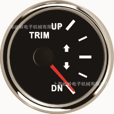 automobile instrument — Ohms