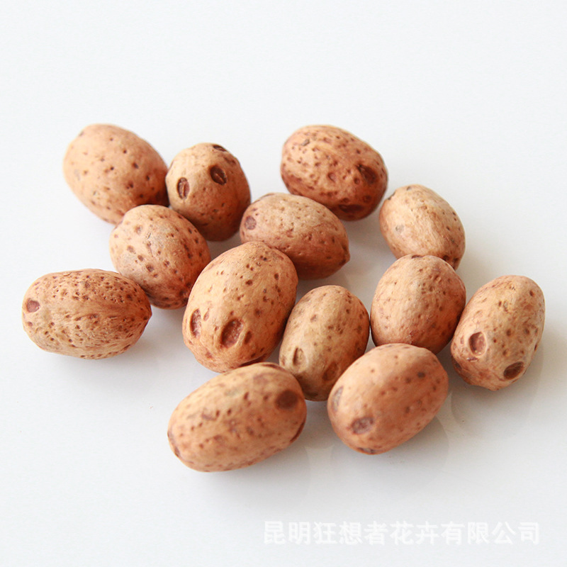 Quả ngũ giác (một túi 50 gam, khoảng 15 quả)