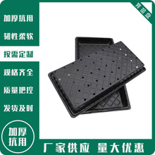 批发pet材质长方形蔬菜托盘加厚多肉番茄苗育苗平盘