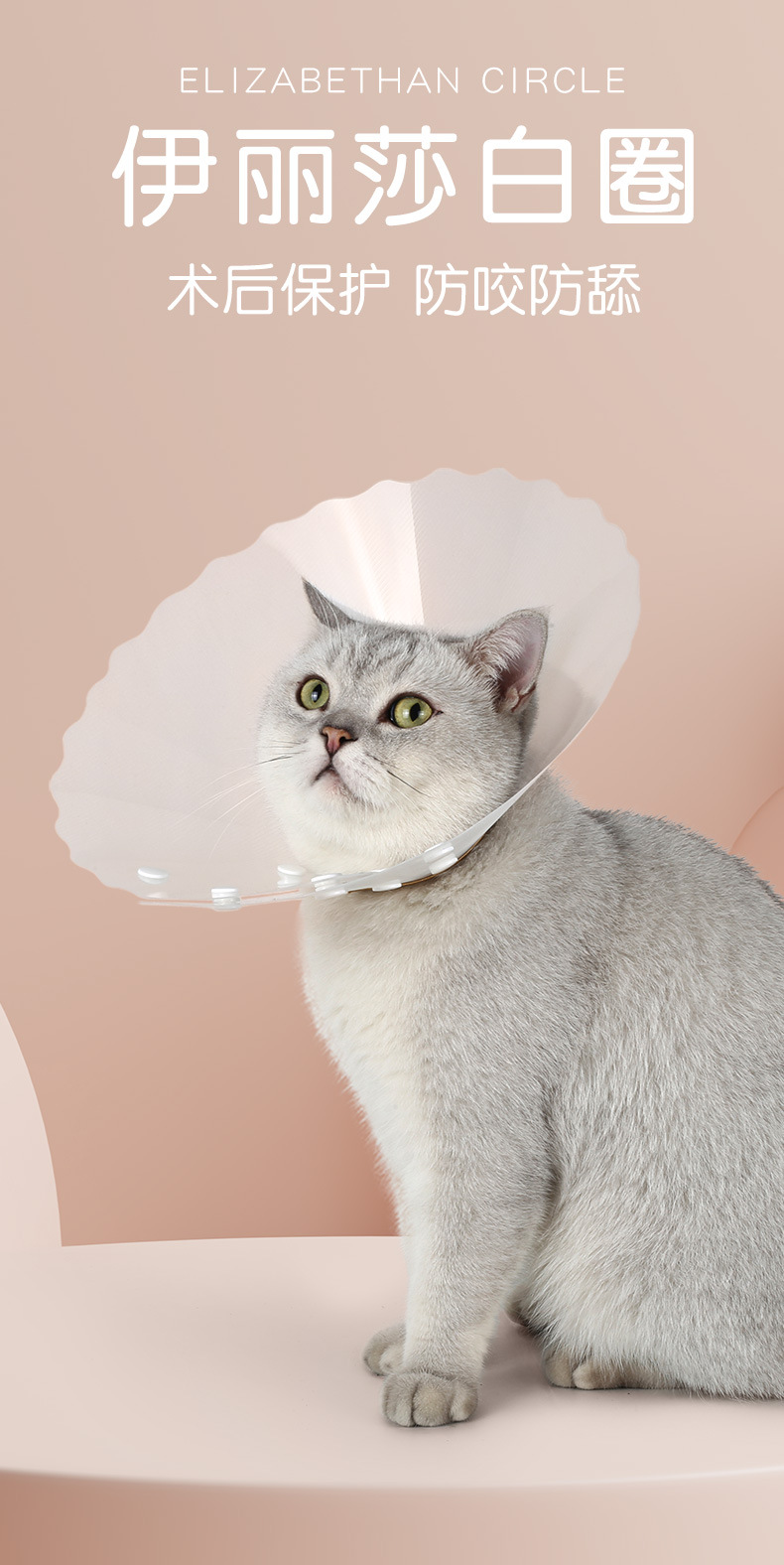 波浪伊丽莎白圈_01