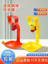 养殖场鸡用饮水器养鸡用自动乳头式钢球连体饮水器接水杯水线设备
