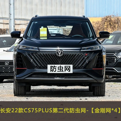 Automobile anti-insect net, million car insect net