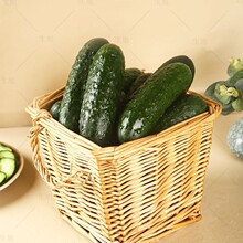 新鲜玛莎黄瓜寿光直发农家自然熟即食小黄瓜水果迷你小黄瓜生吃