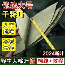 【大】粽叶干粽叶新鲜野生大粽叶子包粽子叶非芦苇叶家用批发