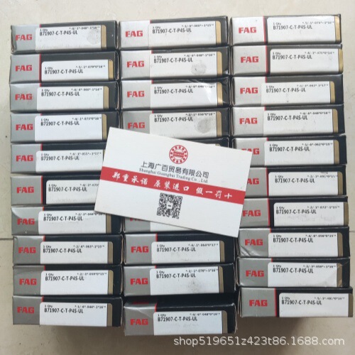 German Fag Precision Spindle Bearings Nnu4920S.M.Sp Nnu4928S.M.Sp Nu1009M1.C3 German Fag Precision Spindle Bearings Nnu4920S.M.Sp Nnu4928S.M.Sp Nu1009M1.C3