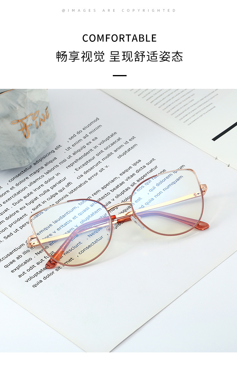 Anti-blue Light Metal Frame Retro Glasses display picture 2