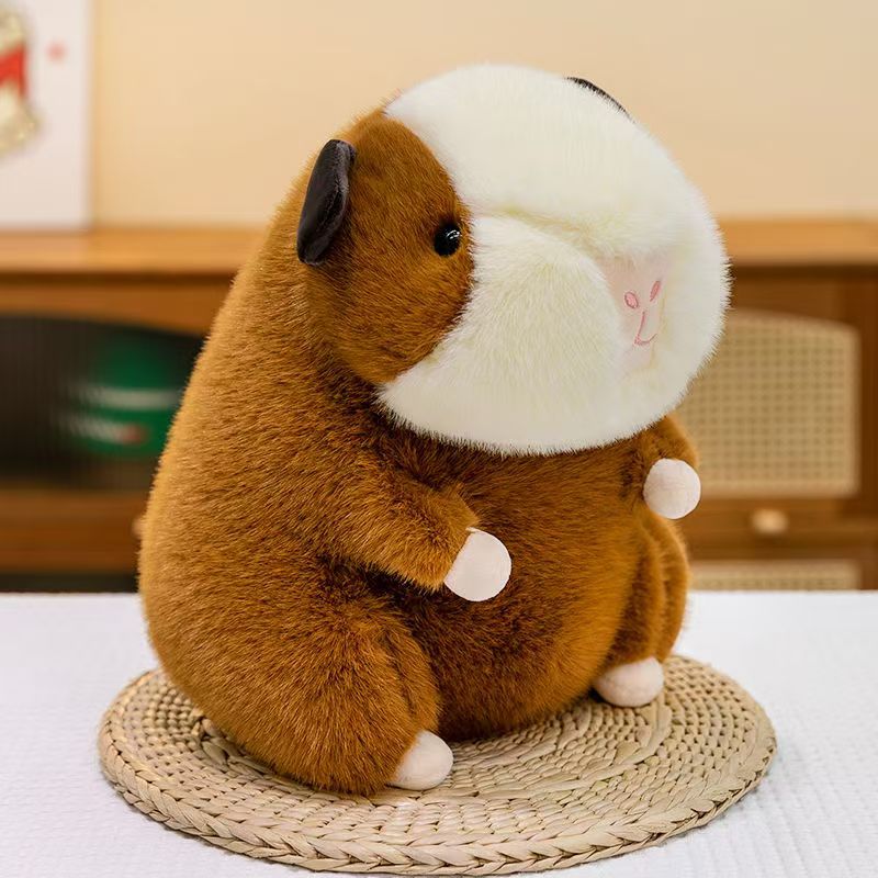 Guinea pig