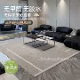 防污卧室客厅满铺床边毯
