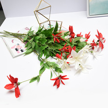 �����F��ɏ�� ��ާ���ֲ�ﻨƿ�bW���L���ڷ���@ˇ�Ļ�