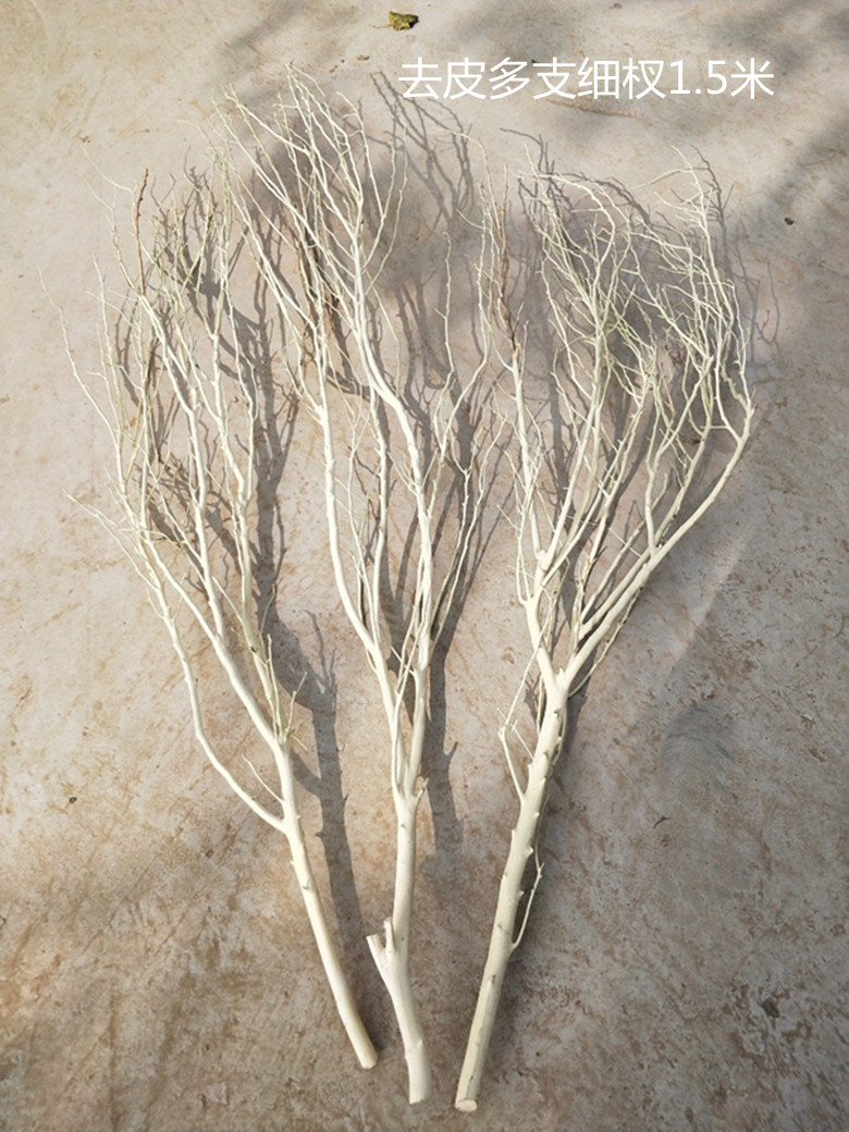 。Arquivos de flores de ramas secas de madera tronco artístico ramas secas maderas secas de madera secas descorpeadas modelado percha de pared paquete de tronco