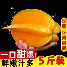 漳州现摘杨桃当季水果酸甜可口多汁3/5斤整箱+【送酸梅粉】