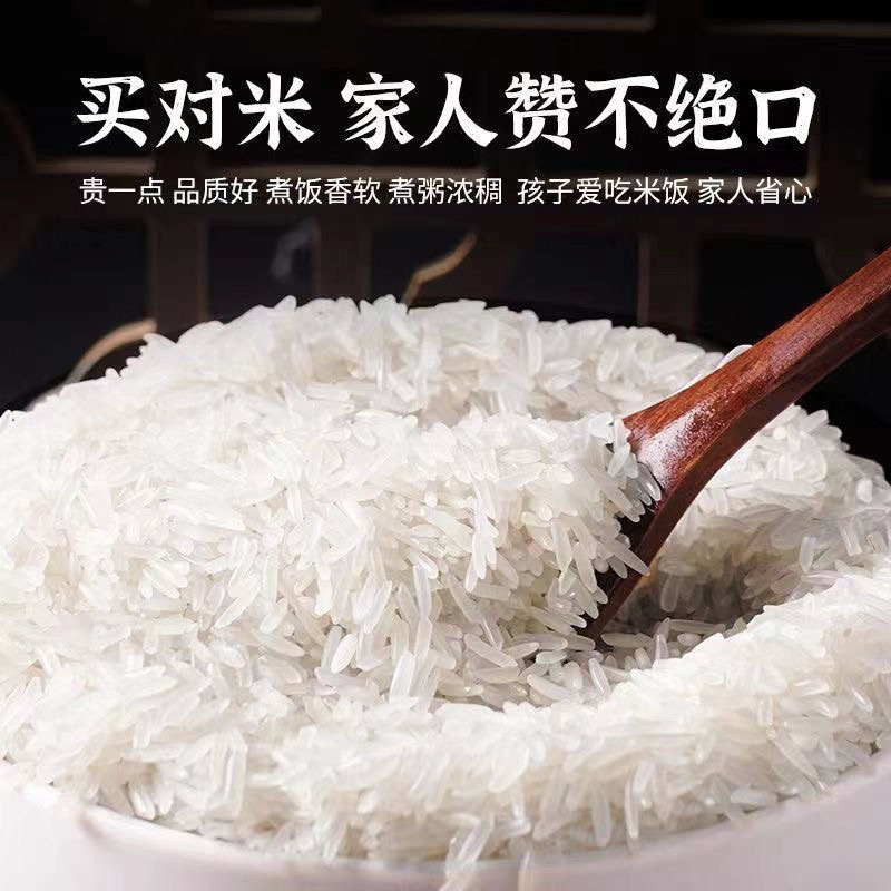 50斤长粒丝苗米24年新米晚籼米长粒香米无添加大袋原装一级大米|undefined