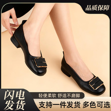 ܛ�׆�ЬܛƤ����ƤЬ����Ь�¿�ٴ�\�ڋ���Ь���ٿ����eЬ���