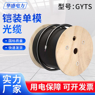Gyta/S Armored Single-Mode Optical Fiber Cable Fiber Layer Twisted Pair 4 6-Core 8-Core 12-Core 24-Core 48-Core 96-Core Adss Multimode