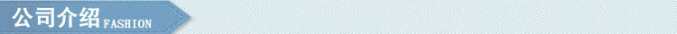 公司介绍
