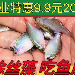 ���Q�~�^�p�~��ˮԭ�~ԭ���~�߲���Ƥ�~���w��Ƥ���wС�͵�ˮ���B