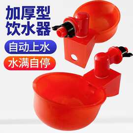 鸡鸭鸽子饮水碗鸡用自动饮水器喝水碗雏鸡鸟用饮水器鸡鹌鹑饮水器