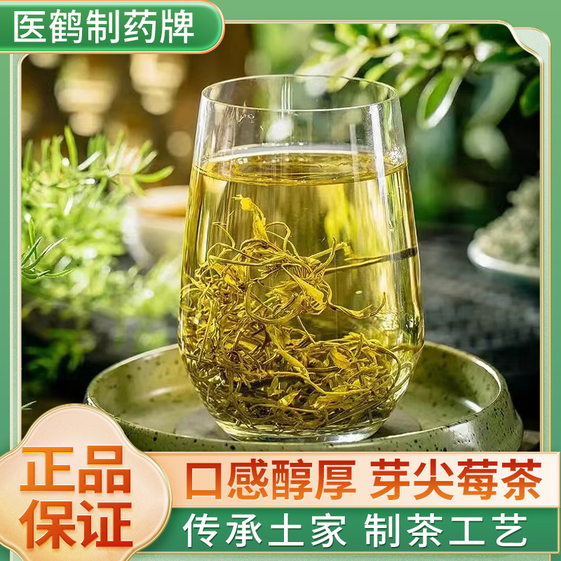 ドラゴンウィスカーティー 20 グラム缶張家界永春土家茶新芽尖ったつる茶新茶カビ茶健康茶卸売|undefined