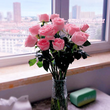 ��������r������ֱ�lõ�廨������ˮ�ٺ����տ�����ֱ����ͥˮ�B