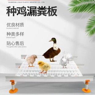 �N�u������©�S�� �������Z�Bֳ���r©ʺ��������ӳ��u��B�O��