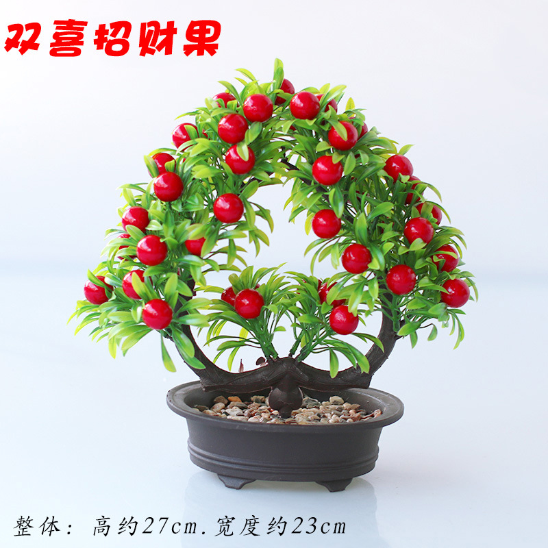 石盆大红果