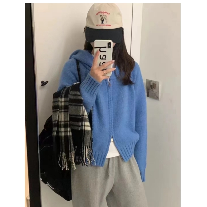 韩系慵懒风连帽针织开衫女秋冬新款宽松高级感双拉链加厚毛衣外套|undefined