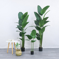 北歐仿真植物盆栽旅人蕉天堂鳥植物家居客廳室內裝飾植物盆栽擺件