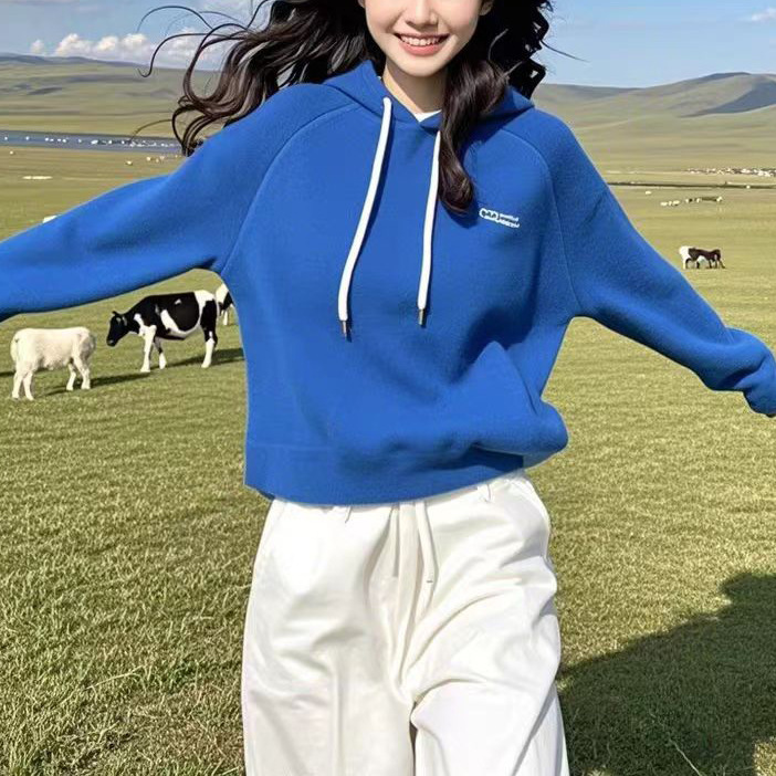2025春秋克莱因蓝连帽宽松显瘦套头加绒卫衣印花上衣女|undefined