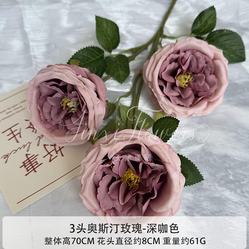 다크 카레