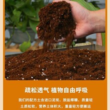�I�B�������҃�����͸��ͨ�����ɚ��������B�������l�Gֲ�I�B��