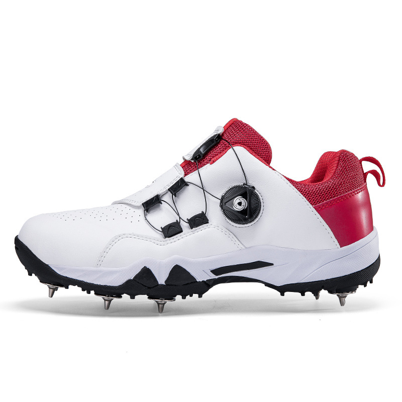 C- 179 화이트 레드