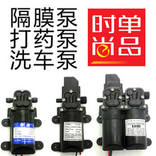 农用电动喷雾器水泵12V隔膜泵小水泵往复泵小型直流高压洗车泵