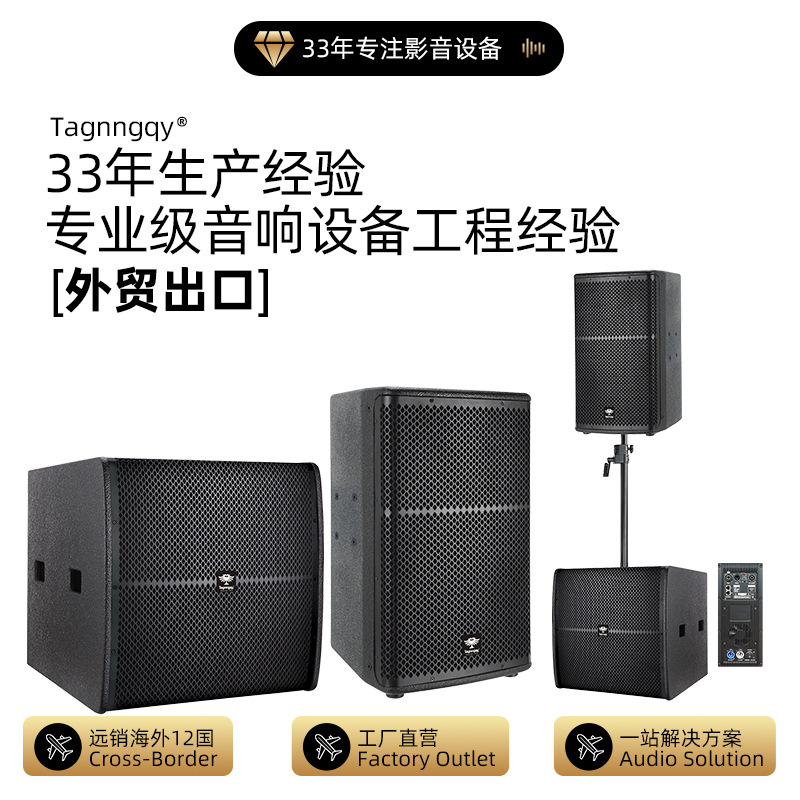 跨境外贸天朗音箱12寸15寸18寸有源专业音箱演出剧场商场音响套装