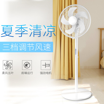 new pattern electric fan household vertical Timing remote control Gale He shook his head fan Desktop Strength dormitory Stand Manufactor