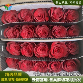 鲜切花;干花;园艺工具