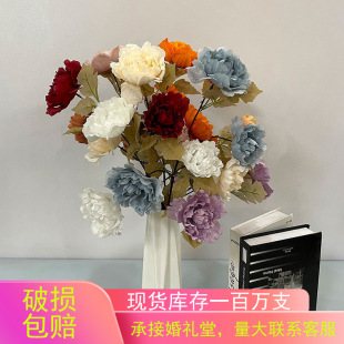 �S�Ҷ��ƻ�c����3���^�`��ĵ����c�廨�Ҿ�ܛ�b�[ٻ��b�