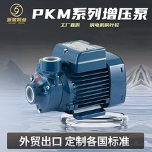 外贸PKM607080自吸清水泵旋涡式涡流泵110v220v家用管道增压水泵