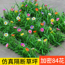 ��ƺ�پGֲ��������ֲ������bG��Ƥ�|��̺�쾰�[�O��̨