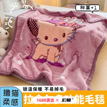 �Ӻ����᠖ë̺ţ�̽q���o�̺�ӽq�Ӻ񶬼���ů���Ά��ˌW������