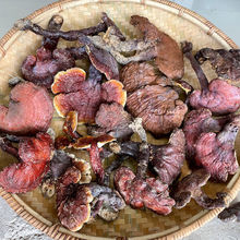 x aֱlɽҰ`֥֦`֥؛ݾșƬl