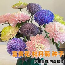 ���lĵ���շN�ӽ�ĵ�����ļ��_�����g���F���໨�ɾջ��N�̨����