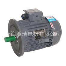 TEGH63M-4-0.18KW-1/4HP|Ԫx܇늄әC|TECO늴ƄR_