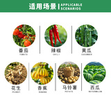 40%100%бактерий огурцы огурцы огурцы огурцы вишневой плесени паттерсато Пестицид Пестицид бактербинома 20 мл